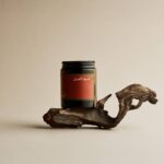 WhatsApp Image 2026-02-07 at 7.55.26 PM