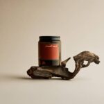 WhatsApp Image 2026-02-07 at 7.55.30 PM