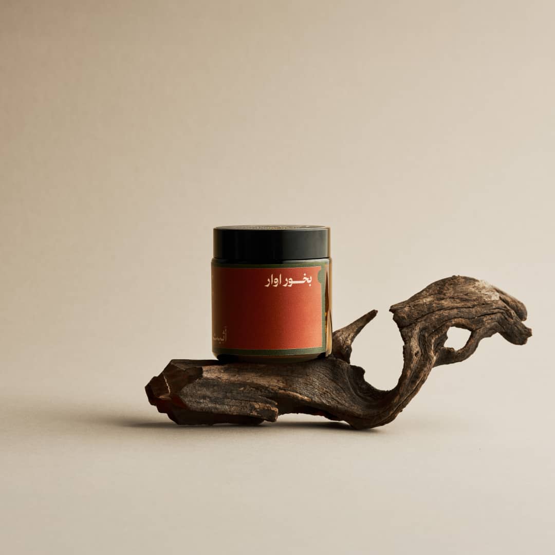 WhatsApp Image 2026-02-07 at 7.55.33 PM