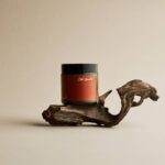 WhatsApp Image 2026-02-07 at 7.55.36 PM